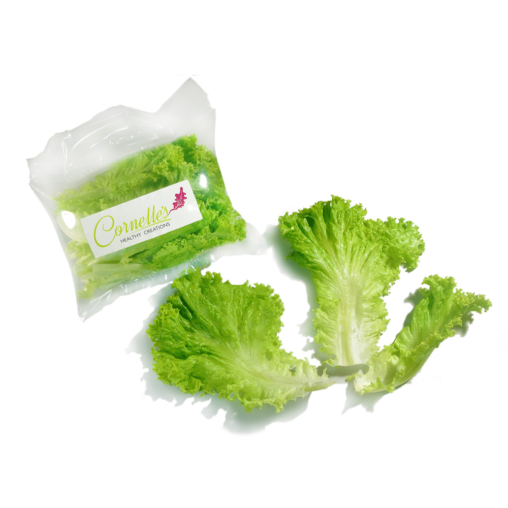 Cornelle's Green Ice Lettuce